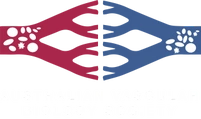 Australian Vascular Biology Society logo